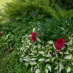 Garten Harmony * Finkenstein am Faaker See