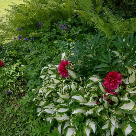 Garten Harmony * Finkenstein am Faaker See